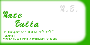 mate bulla business card